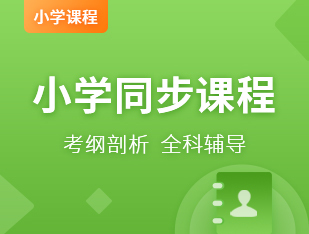 国际小学同步课程
