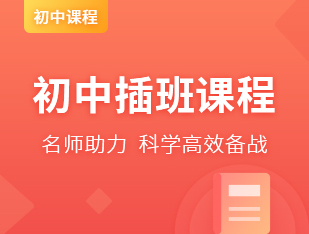 国际初中插班课程