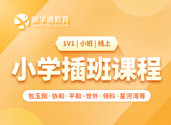 国际小学插班课程