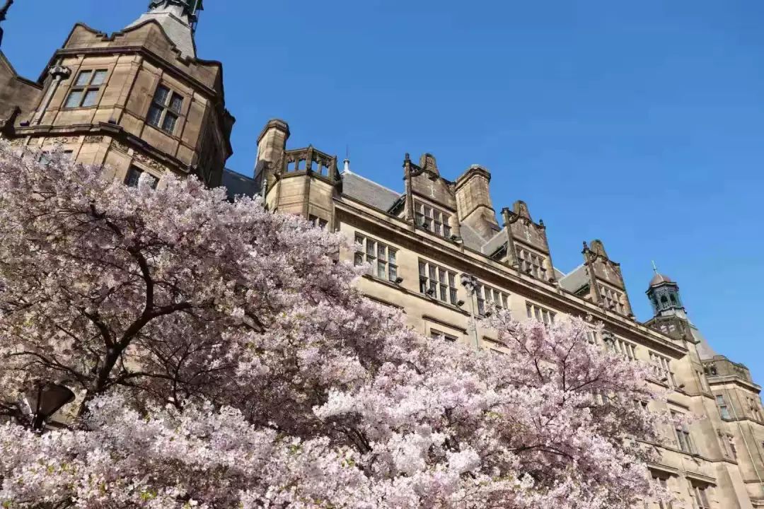 底蕴深厚的英国“红砖大学”，对A-Level成绩要求有多高？