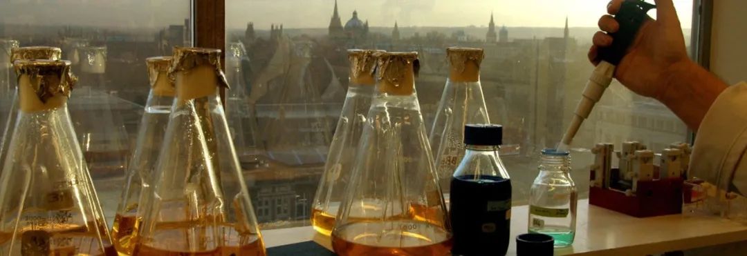录取率最高30%！牛津大学也有如此高录取率的理工科专业？