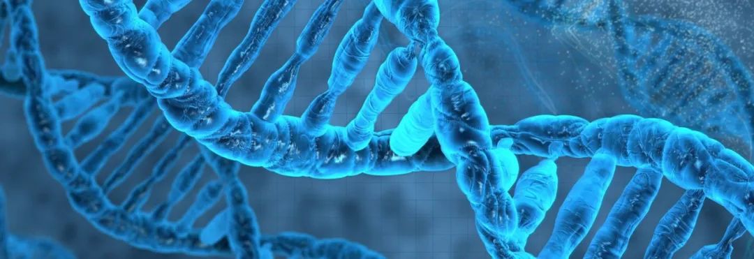 录取率最高30%！牛津大学也有如此高录取率的理工科专业？