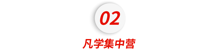 卧底10个鸡娃群后,没娃的我都恨不得鸡自己了
