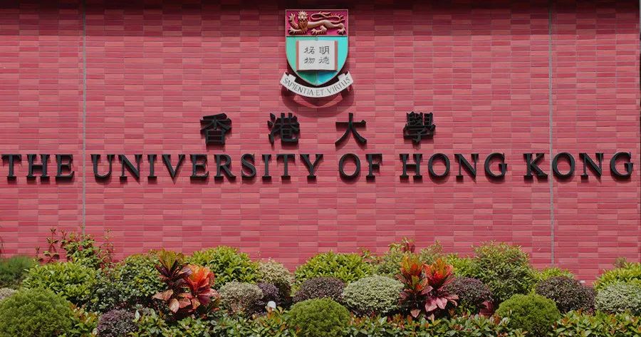 连续三届，赫德学子申请香港大学的成功率为100%！
