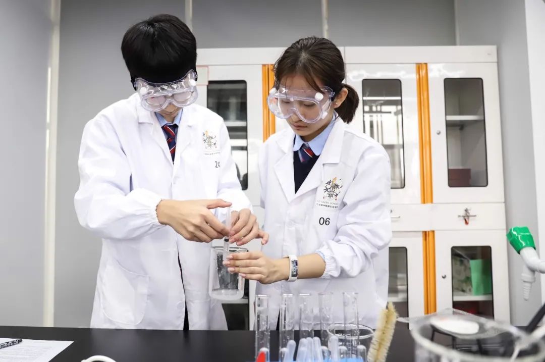 连续三届，赫德学子申请香港大学的成功率为100%！