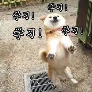 大龄留学，结果是满意还是悲惨？