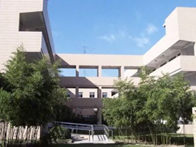 留学多元化，提供日本东南亚方向的上海国际化学校有哪些？