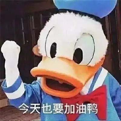 大龄留学，结果是满意还是悲惨？