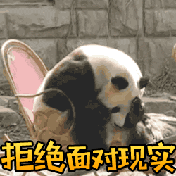 大龄留学，结果是满意还是悲惨？