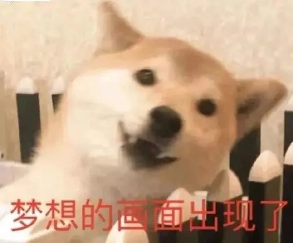 大龄留学，结果是满意还是悲惨？