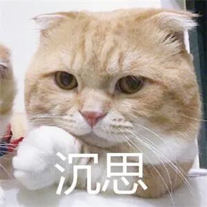 大龄留学，结果是满意还是悲惨？
