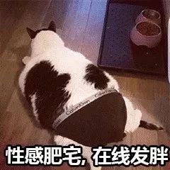这一届留学生,太容易了！