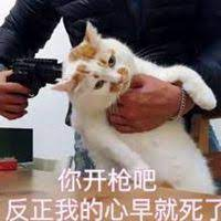 嚯！这所美国大学一口气发错了50万张Offer。。。