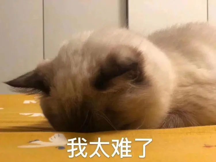 听说留学选了商科的人，都后悔了！