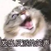 听说留学选了商科的人，都后悔了！