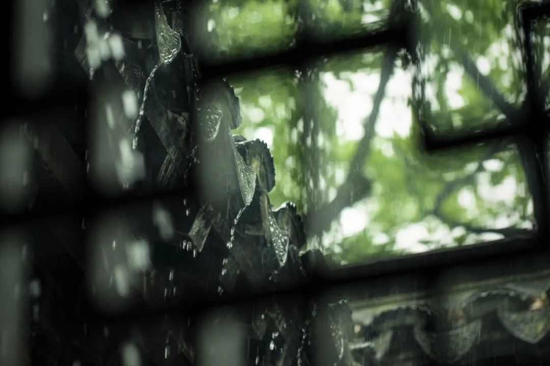 每日必背|三月初十一《春雨》唐·李商隐