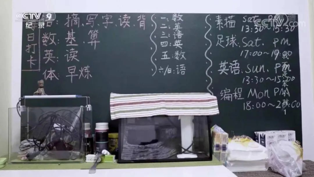 孩子成绩差是因为笨？央视震撼纪录片揭露了一个许多父母都忽视的问题...