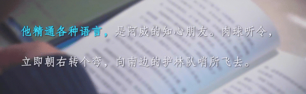 孩子成绩差是因为笨？央视震撼纪录片揭露了一个许多父母都忽视的问题...