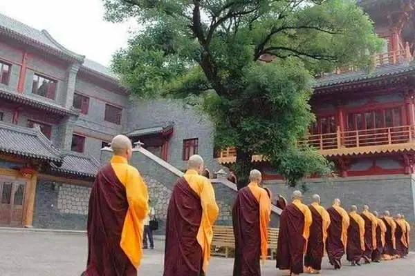 11年前，放弃麻省理工一年7万刀奖学金选择出家的北大才子，后来怎么样了？