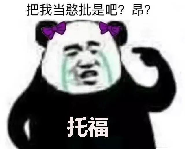 人大附中人均native speaker? 我快要被鸡娃逼疯了！