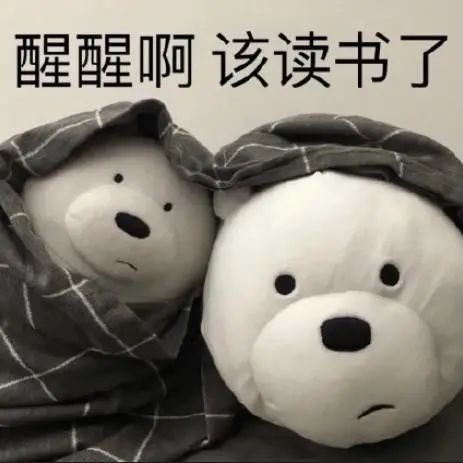 人大附中人均native speaker? 我快要被鸡娃逼疯了！